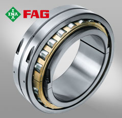 INA/FAGS